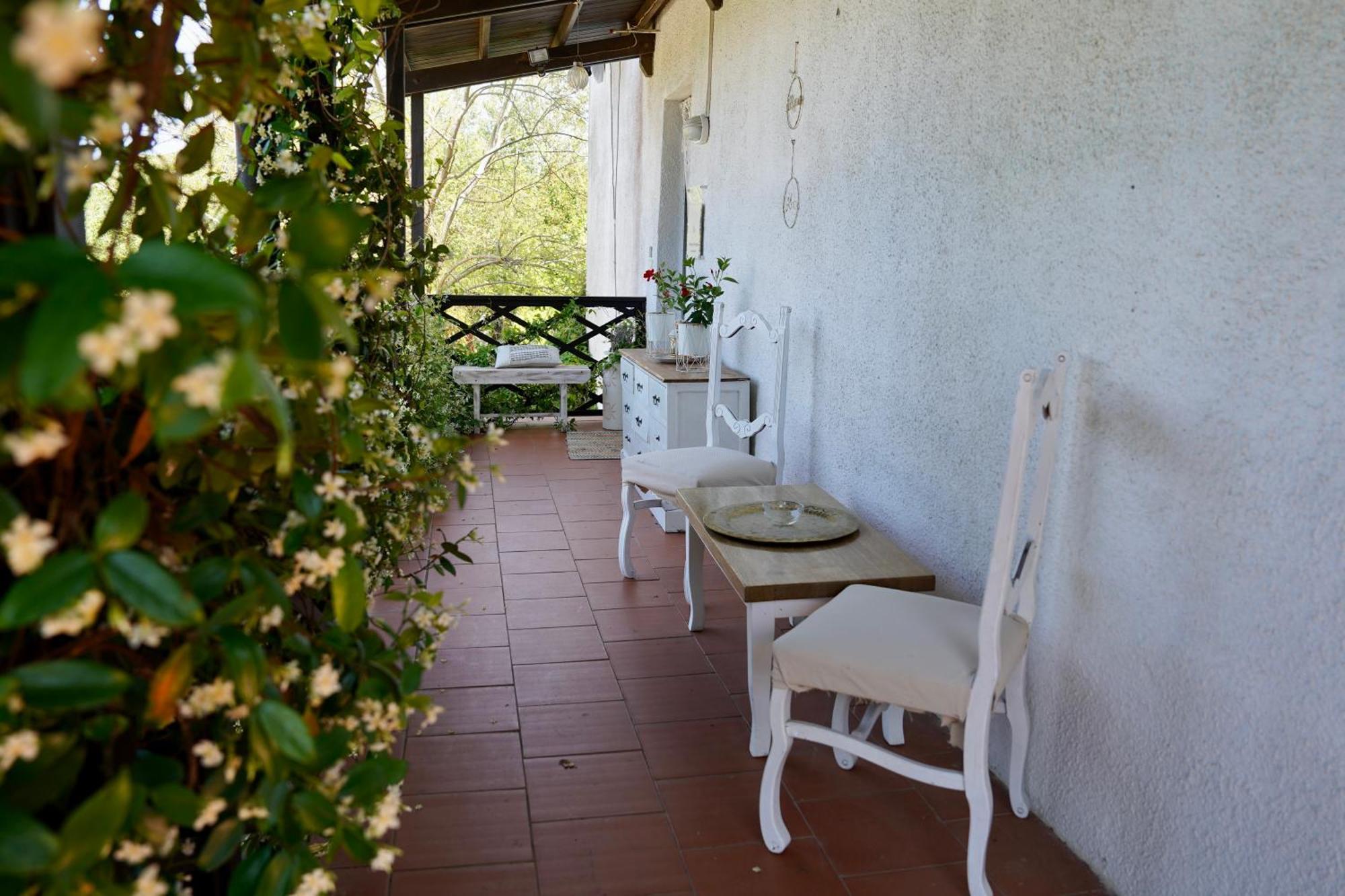 B&B Il Piccolo Paradiso Montenero  Экстерьер фото